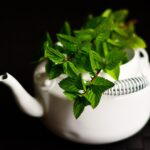 Tisana di menta fresca in una tazza, con foglie verdi e vapore visibile.