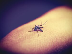 Repellente per zanzare applicato sulla pelle, con foglie verdi sullo sfondo.